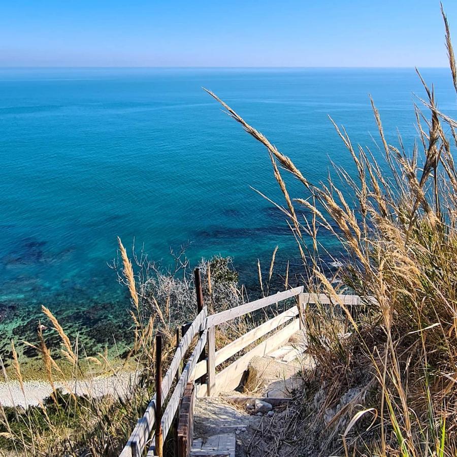 La Pinetina Ancona